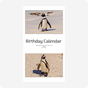Birthday Calendar - Boulders Beach