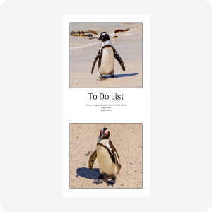 To-Do Pad - Boulders Beach