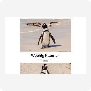 Weekly Planner - Boulders Beach
