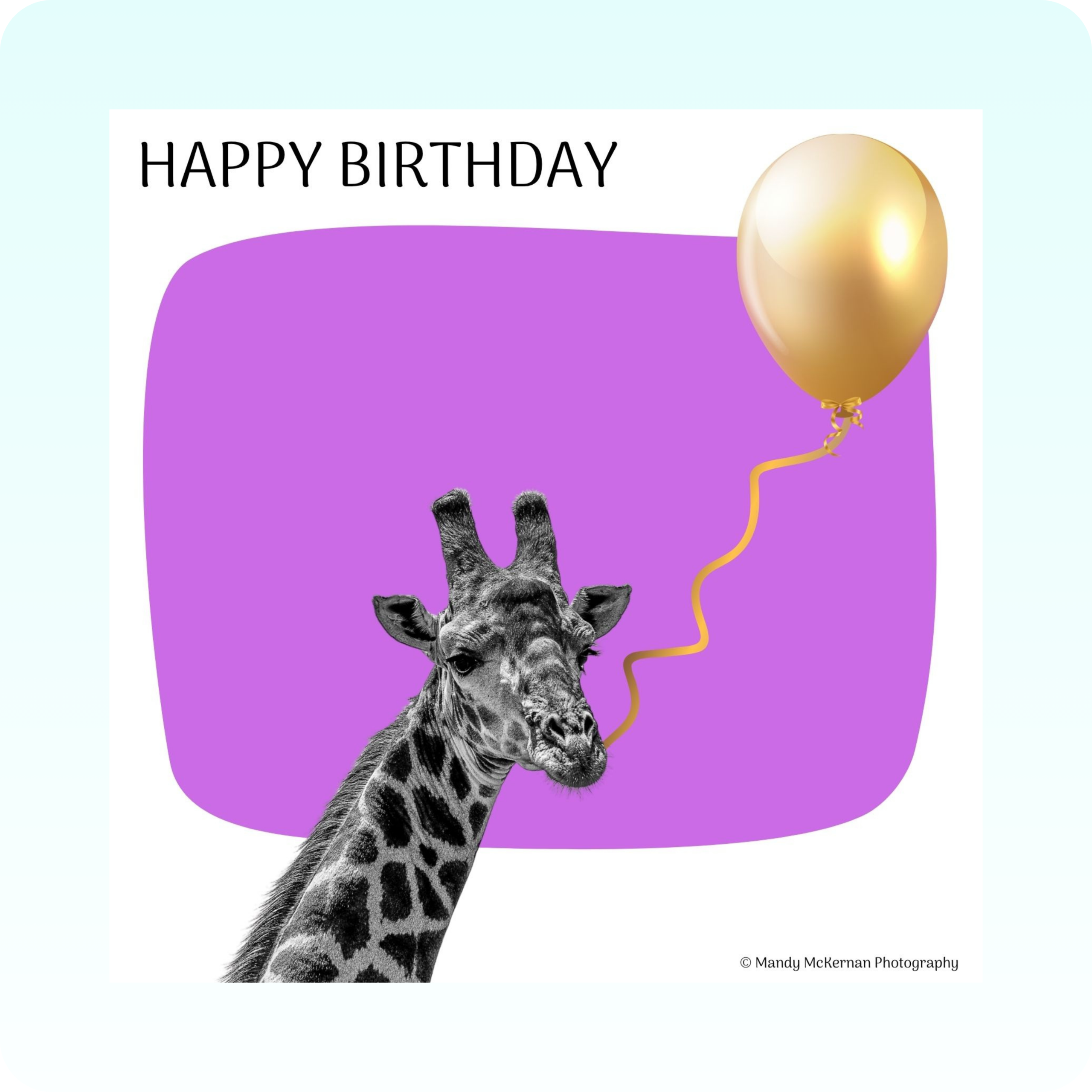 Birthday Cards - Wildlife Bubble