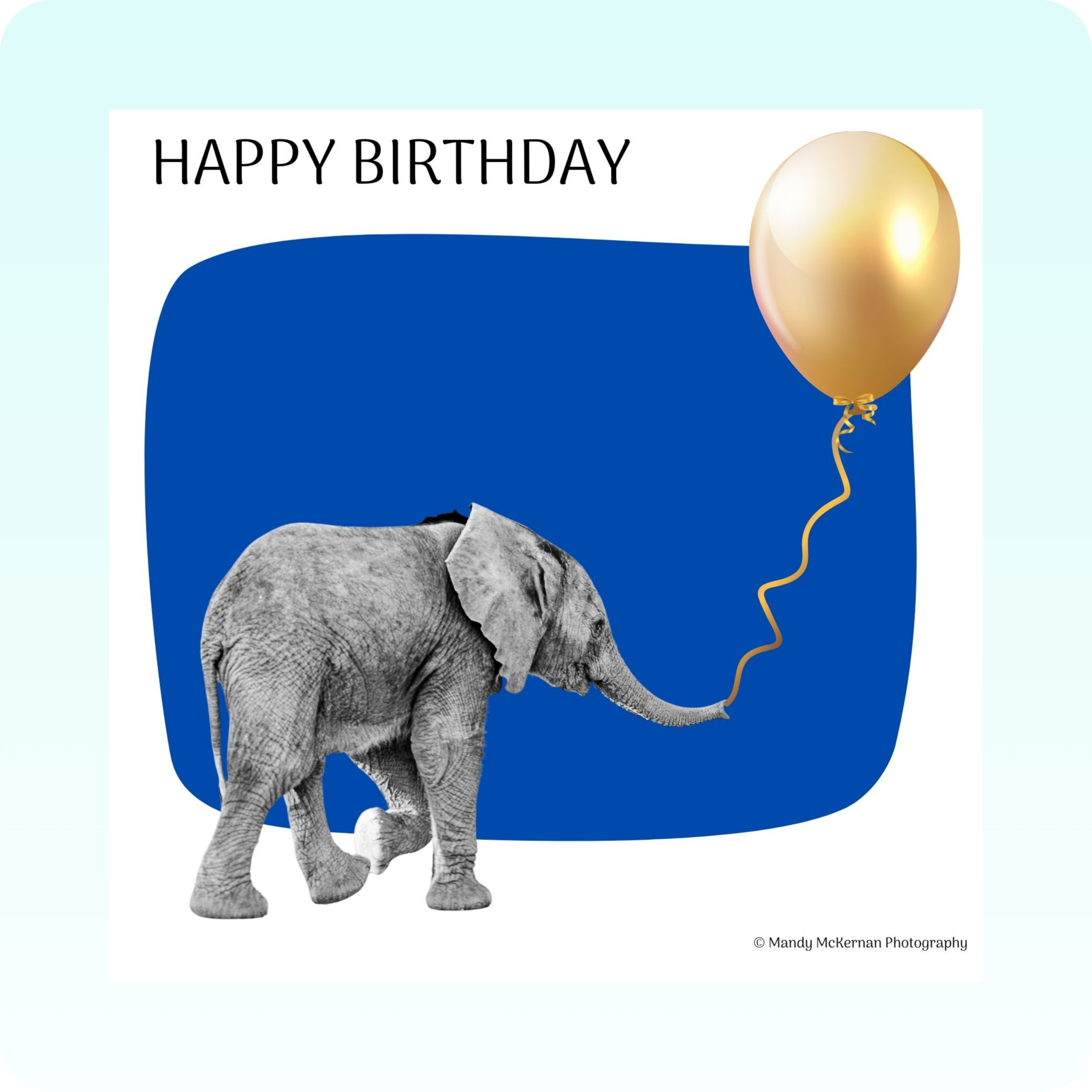 Birthday Cards - Wildlife Bubble - Image 3
