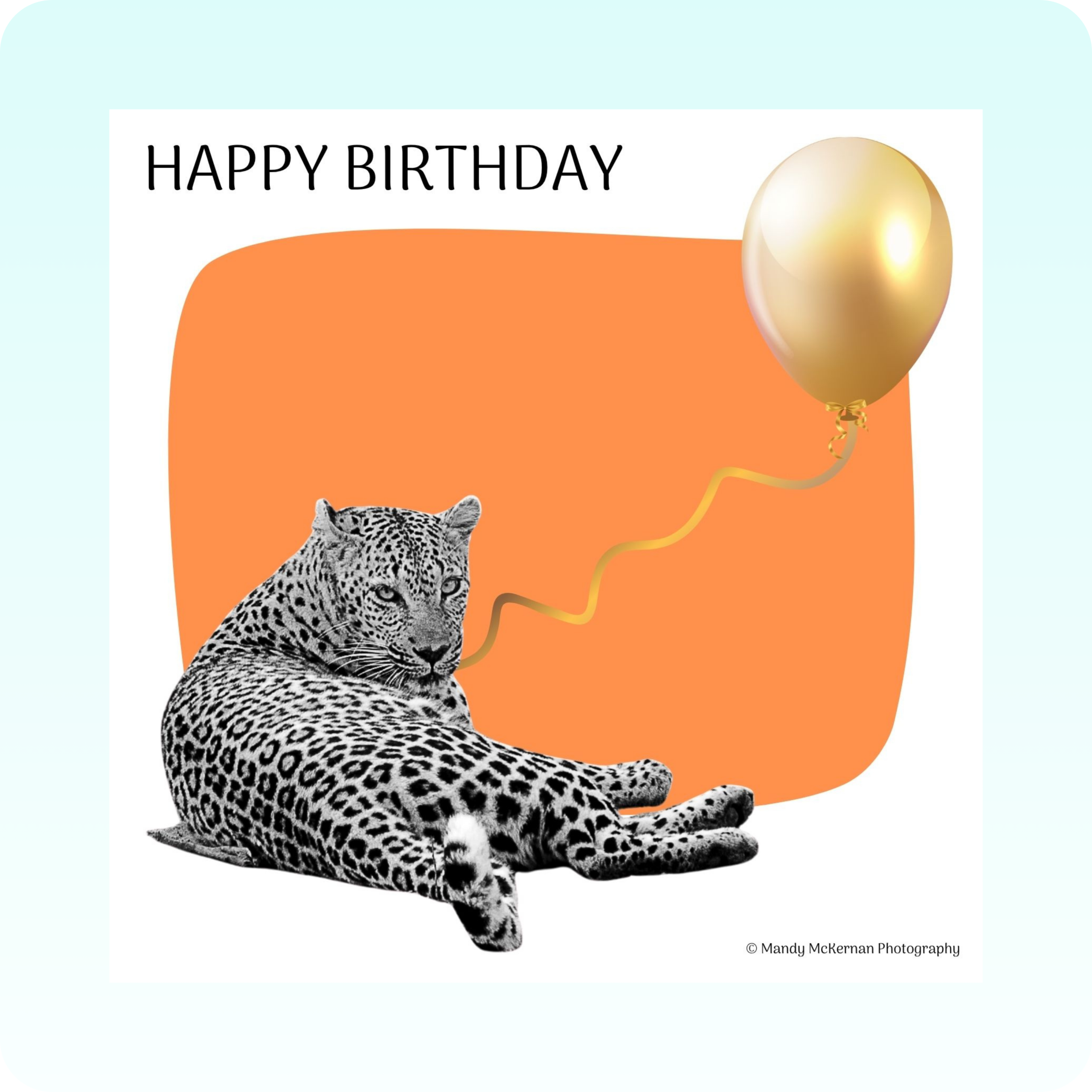 Birthday Cards - Wildlife Bubble - Image 4