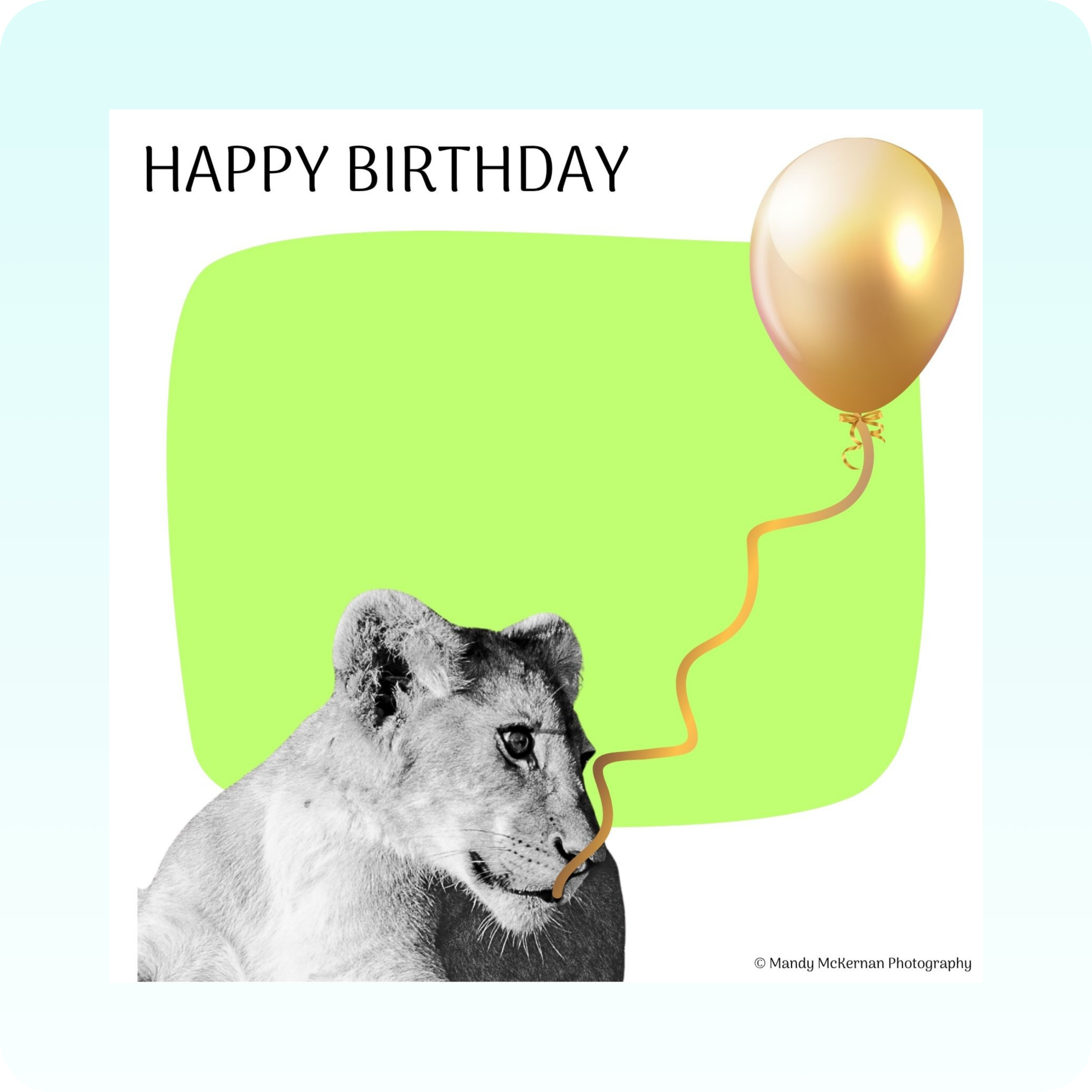 Birthday Cards - Wildlife Bubble - Image 5