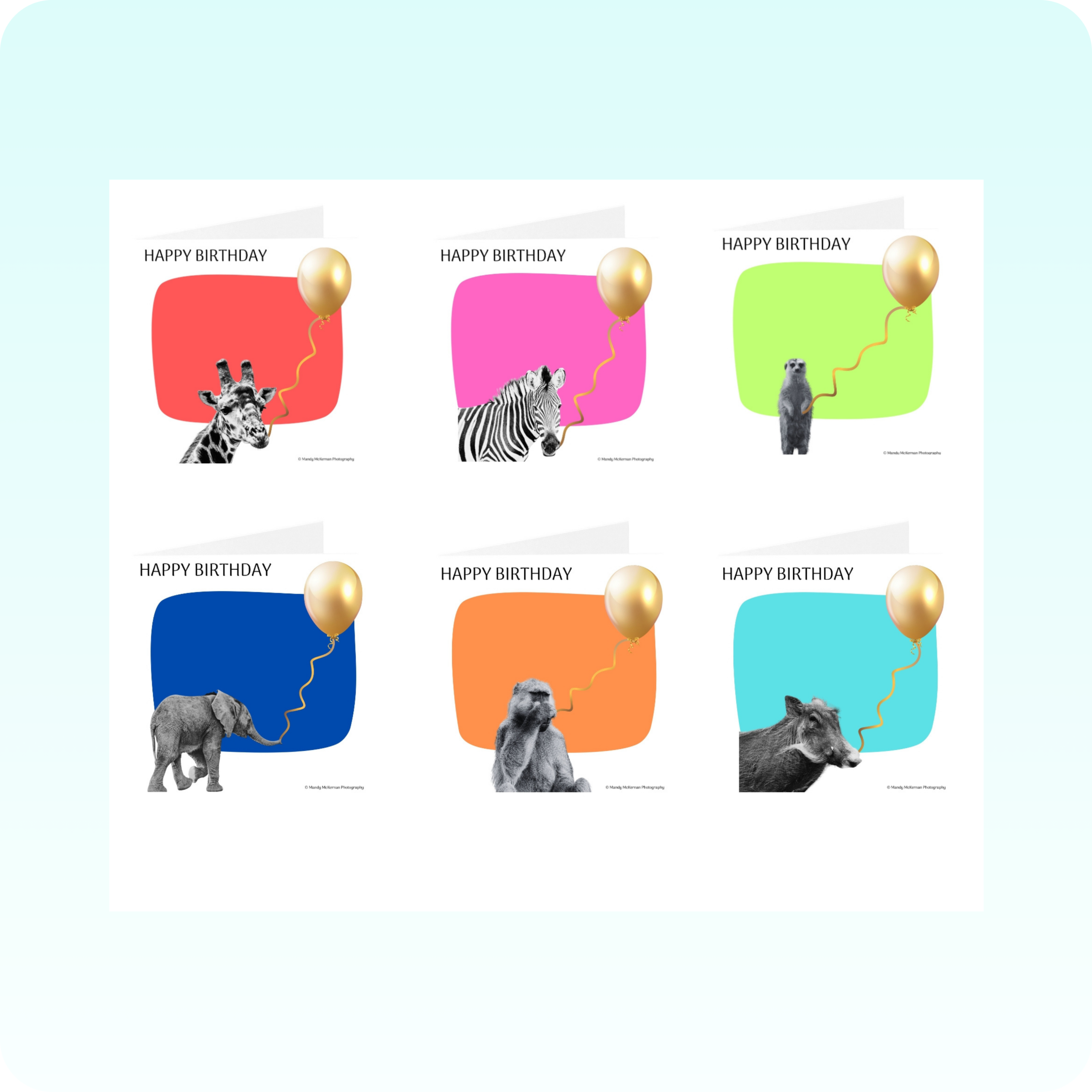 Birthday Cards - Wildlife Bubble - Image 7