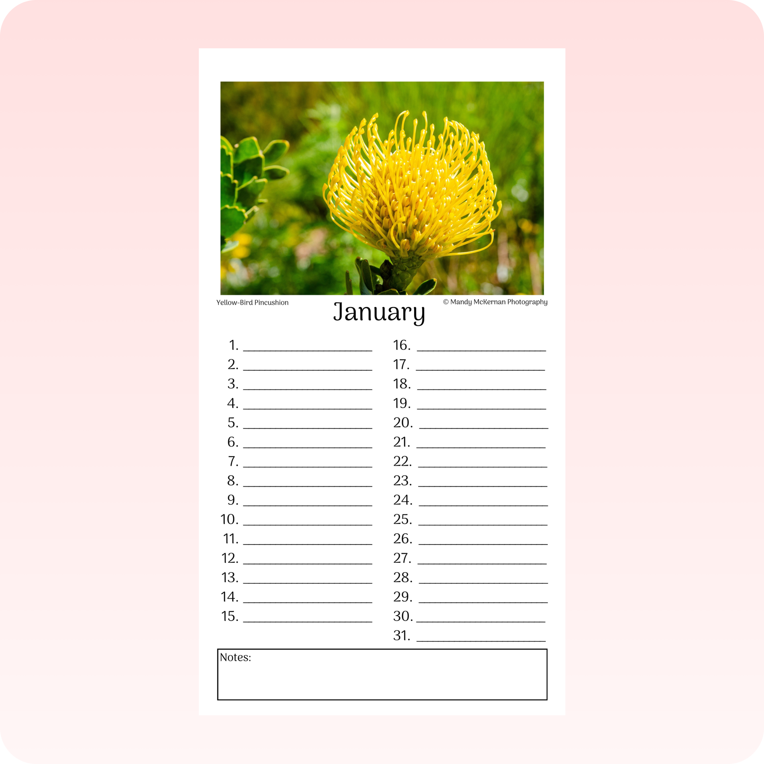 Birthday Calendar - Kirstenbosch Flowers - Image 2