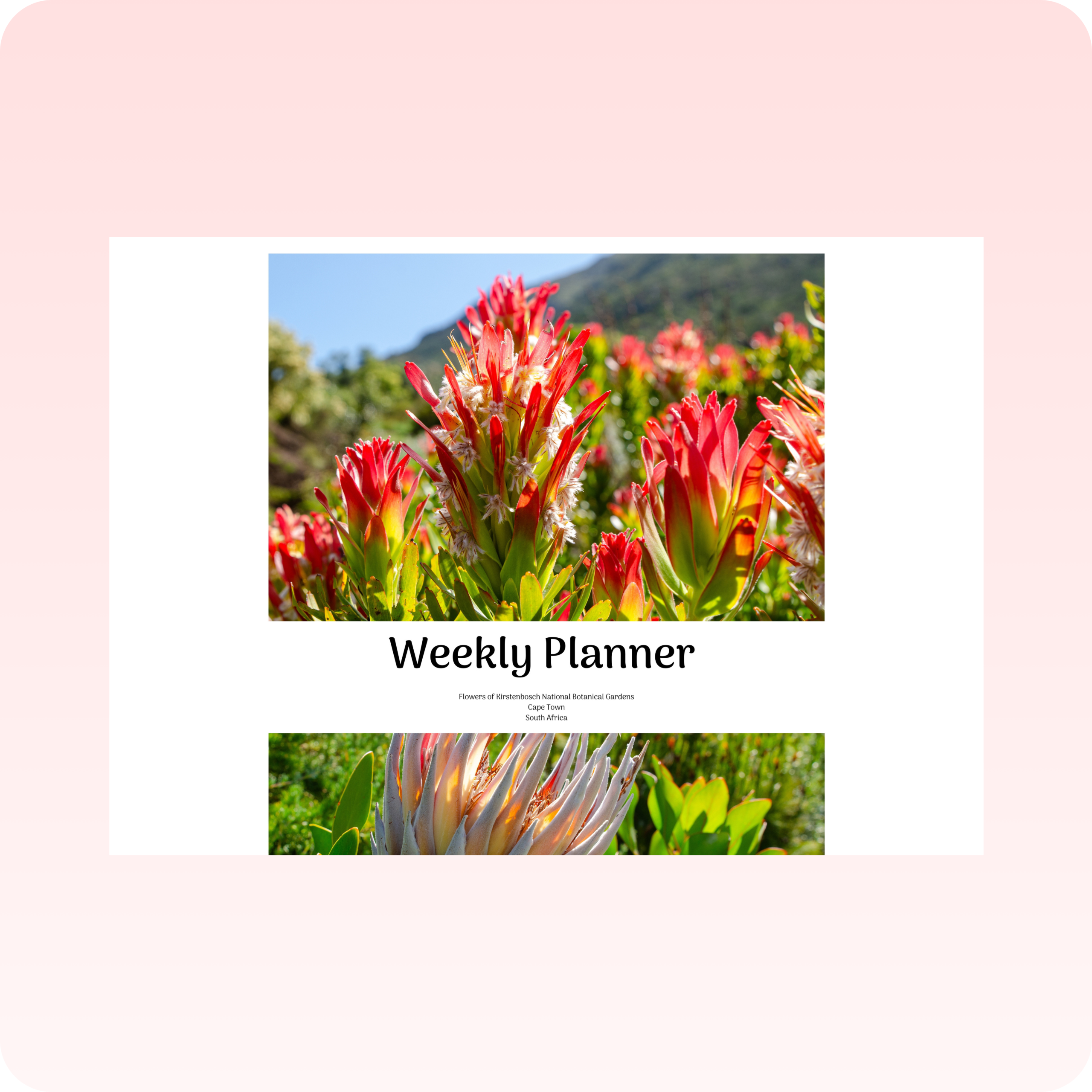 Weekly Planner - Kirstenbosch Flowers