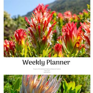 Calendars & Planners