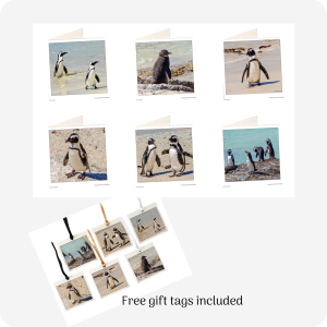 Greeting Cards including free Gift Tags (Save R30) - Boulders Beach