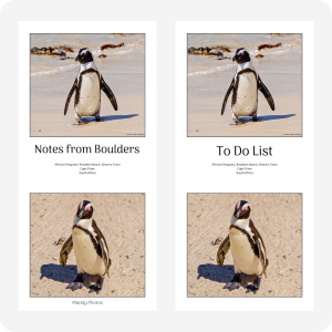 To Do Pad & Note Pad Bundle (Save R40) - Boulders Beach