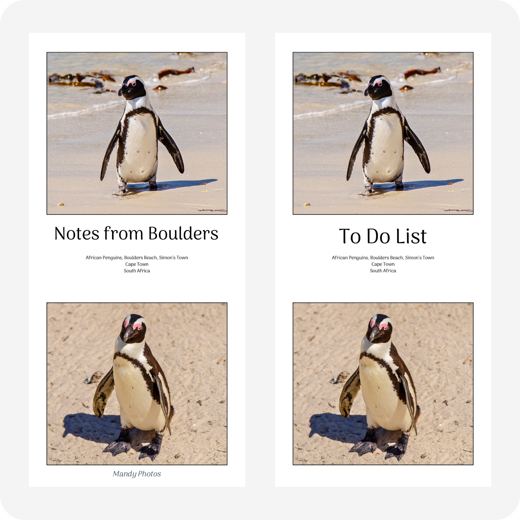 To Do Pad & Note Pad Bundle (Save R40) - Boulders Beach