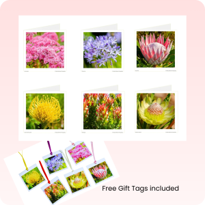 Greeting Cards including free Gift Tags (Save R30) - Kirstenbosch